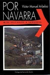 Por-Navarra-vol-8-Victor-Manuel-Arbeloa